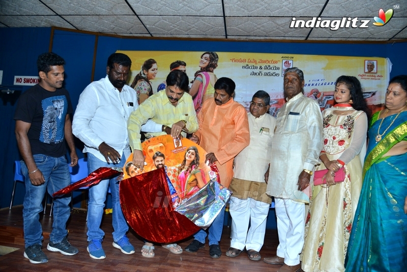 'Mass Power' Audio Launch