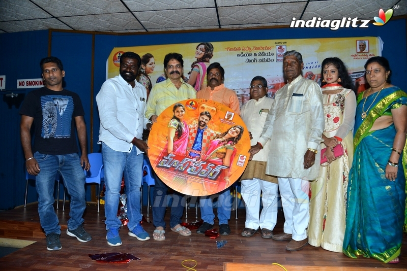 'Mass Power' Audio Launch