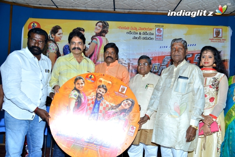 'Mass Power' Audio Launch