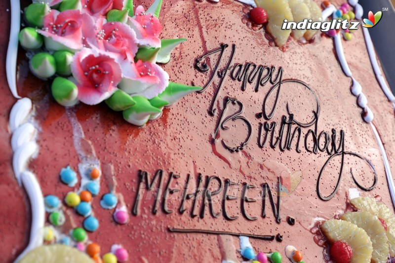 Mehrene Kaur Pirzada Birthday Celebrations