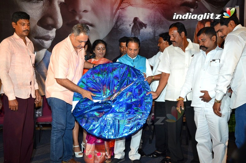 'Mirror' Audio Launch