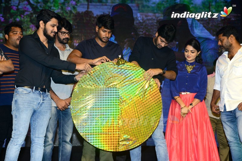 'Meda Meeda Abbayi' Pre - Release Function