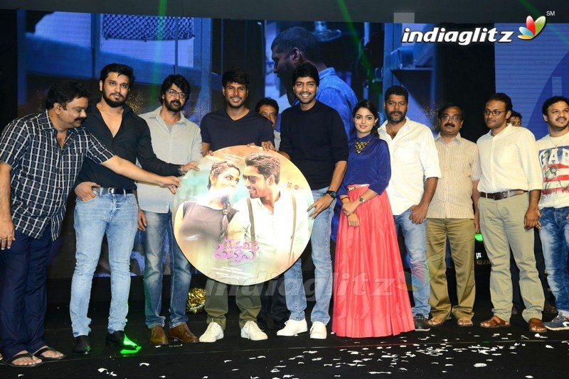 'Meda Meeda Abbayi' Pre - Release Function