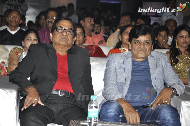 'Mama Manchu Alludu Kanchu' Audio Launch (Set-1)