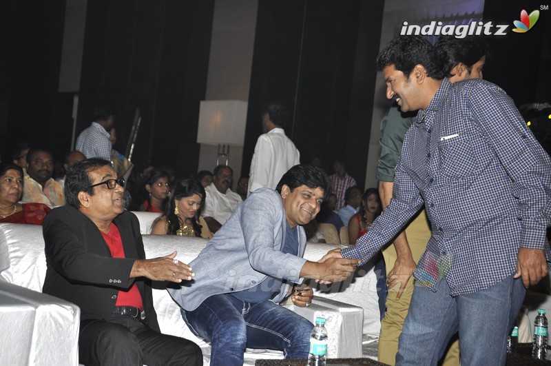 'Mama Manchu Alludu Kanchu' Audio Launch (Set-1)