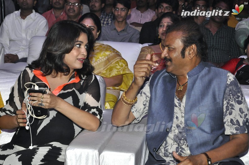 'Mama Manchu Alludu Kanchu' Audio Launch (Set-1)