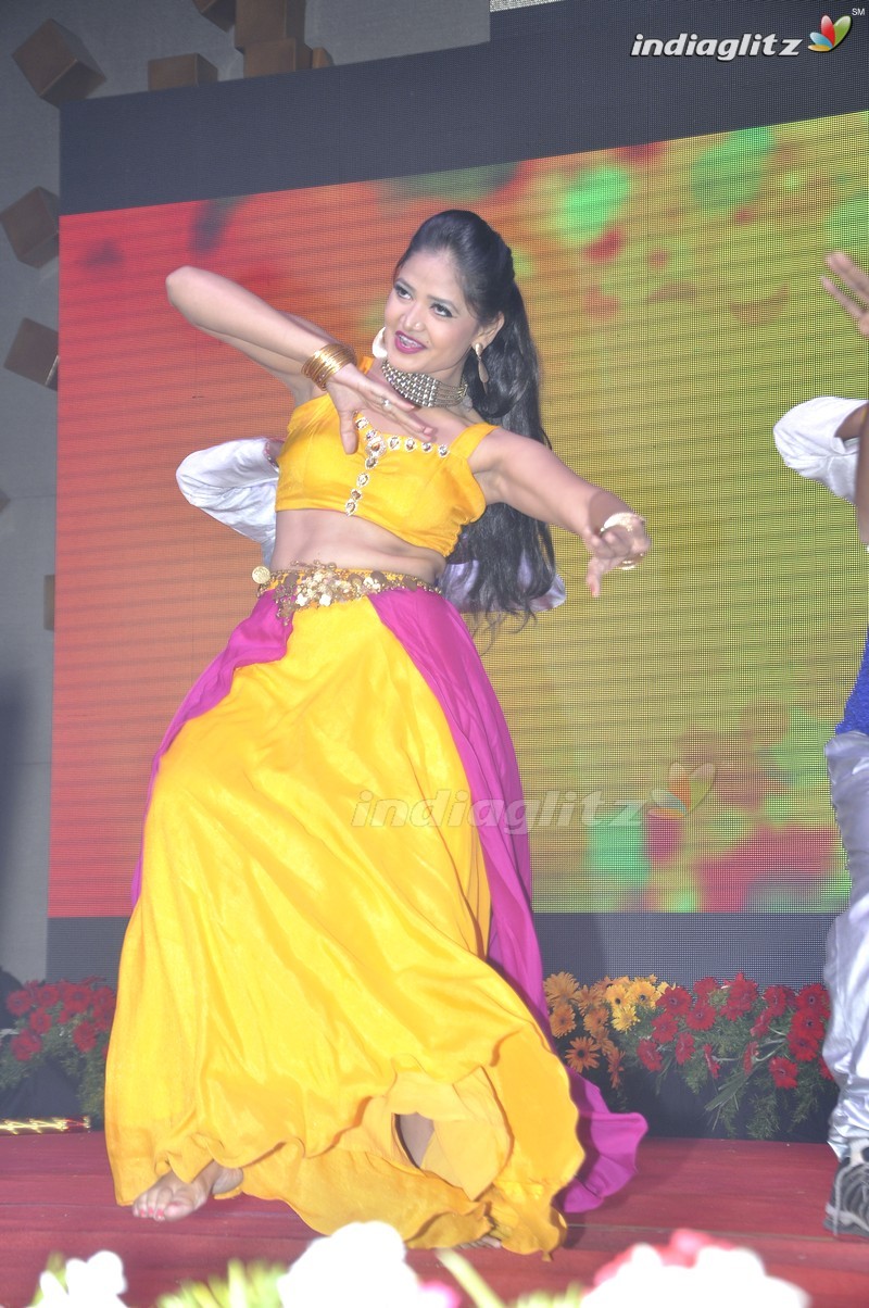 'Mama Manchu Alludu Kanchu' Audio Launch (Set-1)