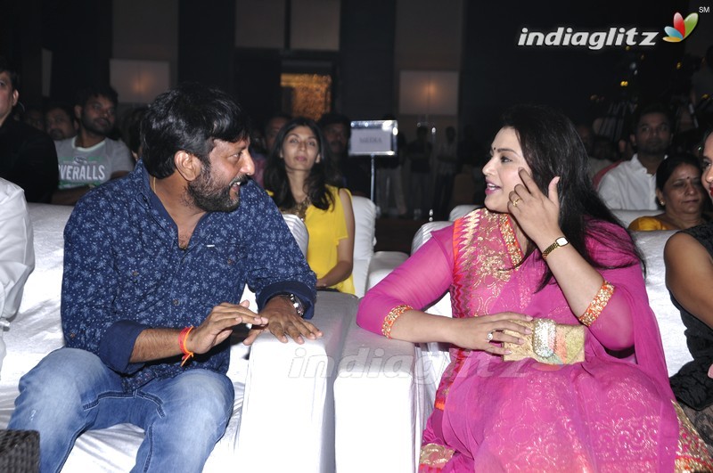 'Mama Manchu Alludu Kanchu' Audio Launch (Set-1)