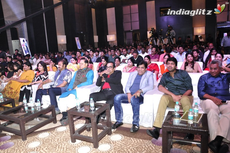 'Mama Manchu Alludu Kanchu' Audio Launch (Set-1)