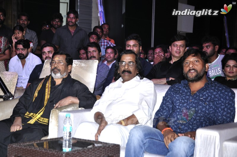 'Mama Manchu Alludu Kanchu' Audio Launch (Set-1)