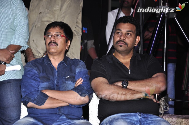 'Mama Manchu Alludu Kanchu' Audio Launch (Set-1)