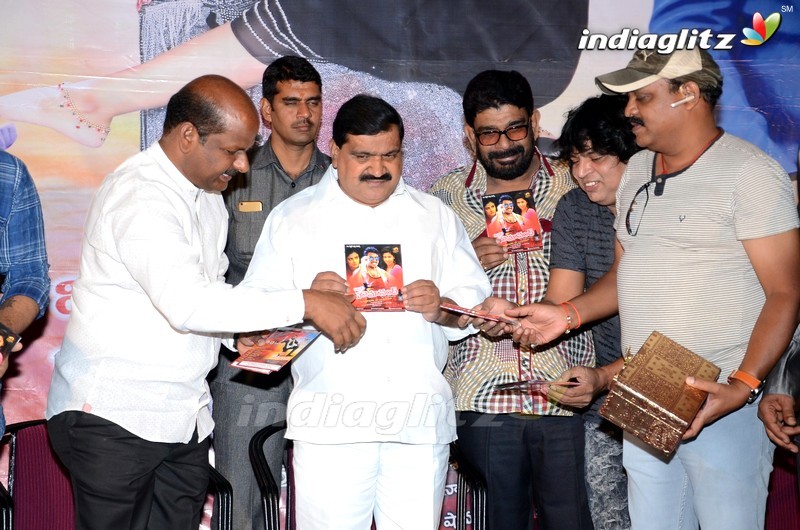 'Mr Homanand' Audio Launch