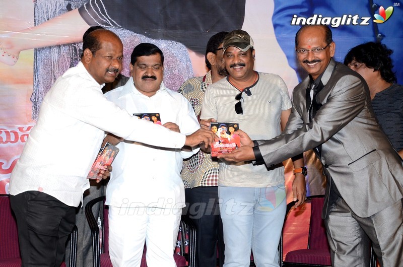 'Mr Homanand' Audio Launch