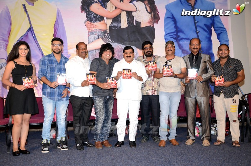 'Mr Homanand' Audio Launch