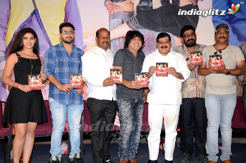 'Mr Homanand' Audio Launch