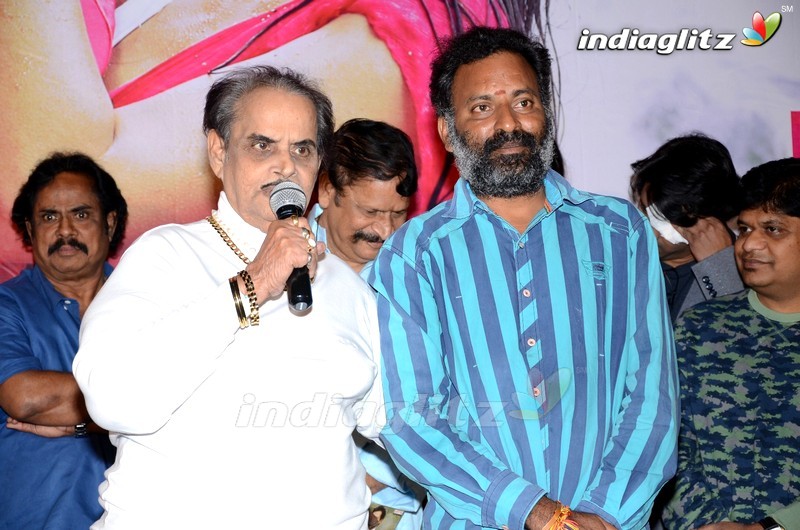 'Naa Love Story' Audio Launch