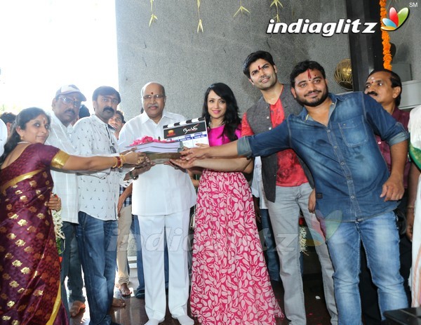 Trisha's 'Nayaki' Movie Launched