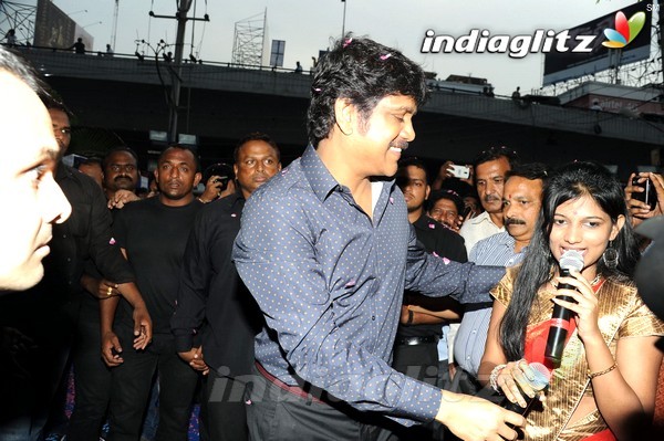 Nagarjuna Inaugurates Kalyan Jewellers In Panjagutta