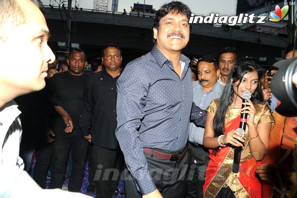 Nagarjuna Inaugurates Kalyan Jewellers In Panjagutta