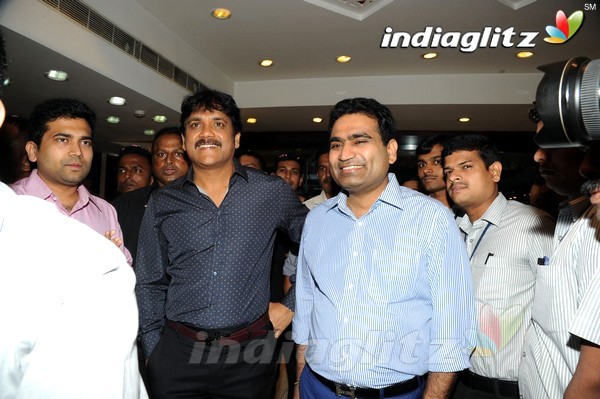 Nagarjuna Inaugurates Kalyan Jewellers In Panjagutta