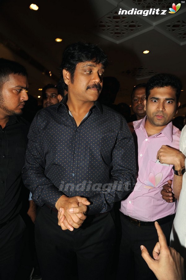 Nagarjuna Inaugurates Kalyan Jewellers In Panjagutta