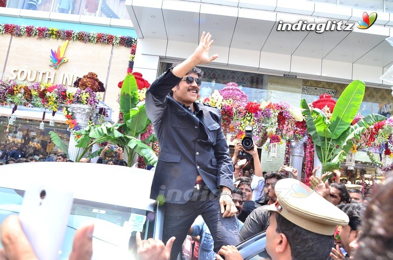 Nagarjuna & Raashi Khanna @ South India Shopping Mall Inauguration