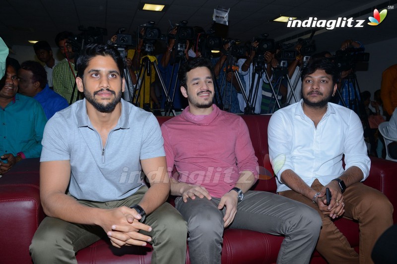 Akhil, Naga Chaitanya Launches Nagarjuna's Postal Stamp