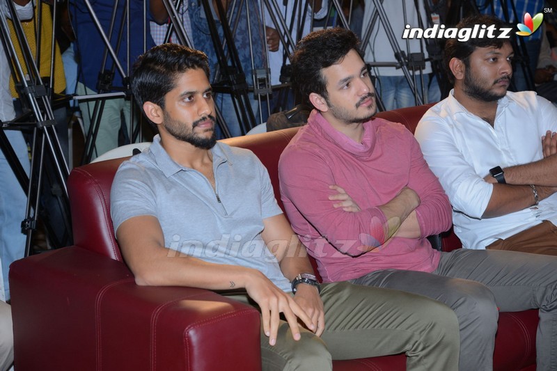 Akhil, Naga Chaitanya Launches Nagarjuna's Postal Stamp