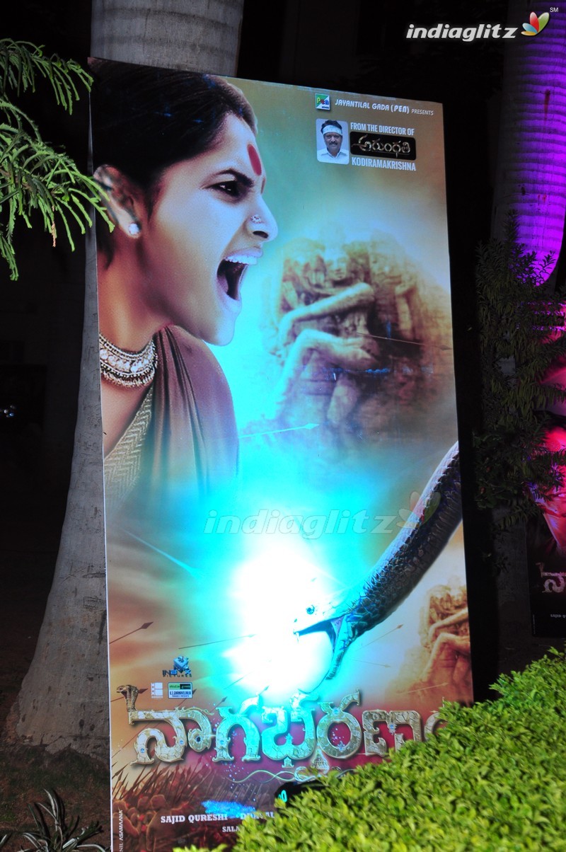 'Nagabharanam' Audio Launch