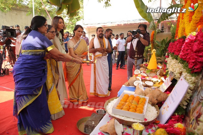 Nagarjuna 'Manmandhudu 2' Movie Opening