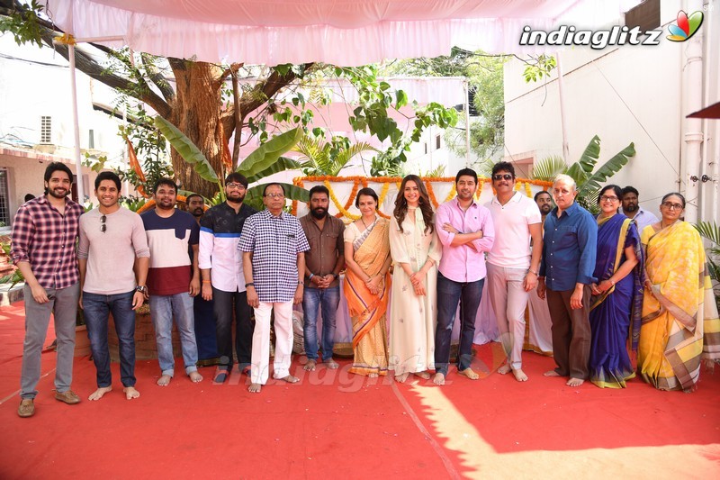 Nagarjuna 'Manmandhudu 2' Movie Opening