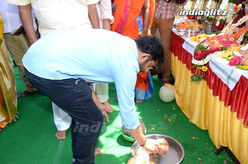 Naga Shourya - Mehreen New Movie Launch