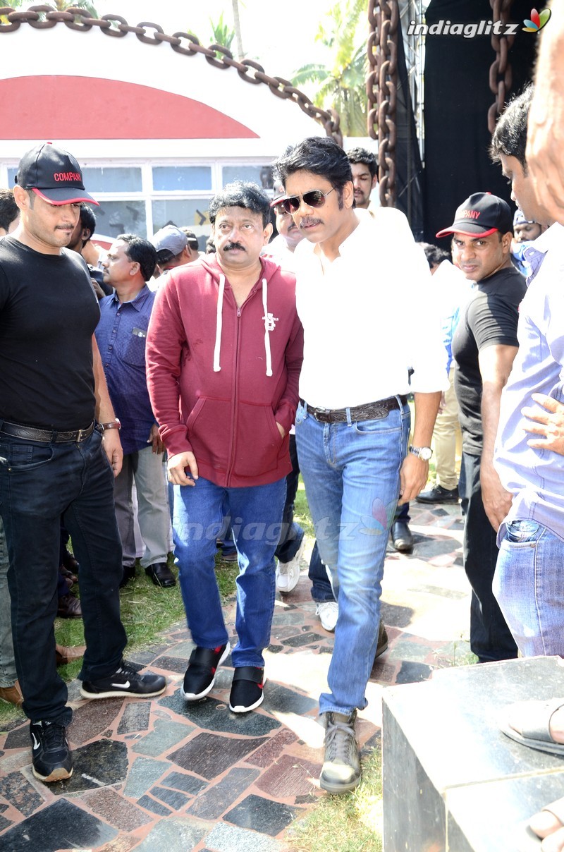 Nagarjuna - RGV Movie Opening