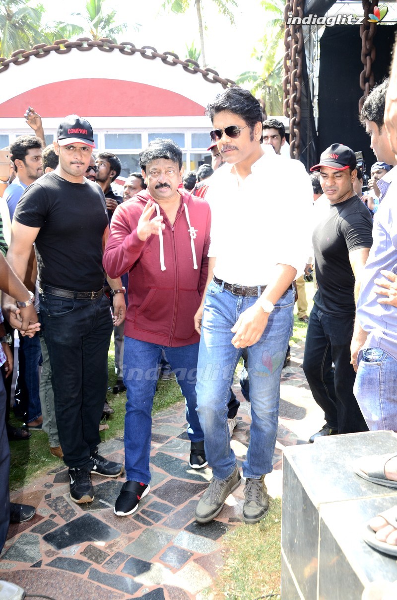 Nagarjuna - RGV Movie Opening