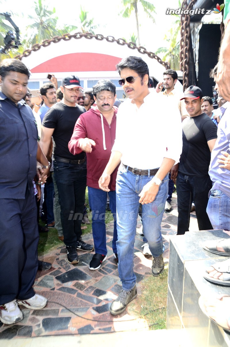 Nagarjuna - RGV Movie Opening