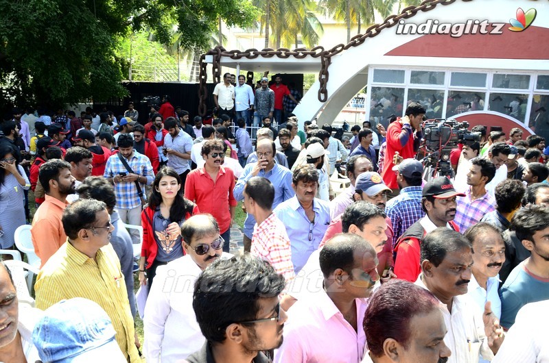 Nagarjuna - RGV Movie Opening