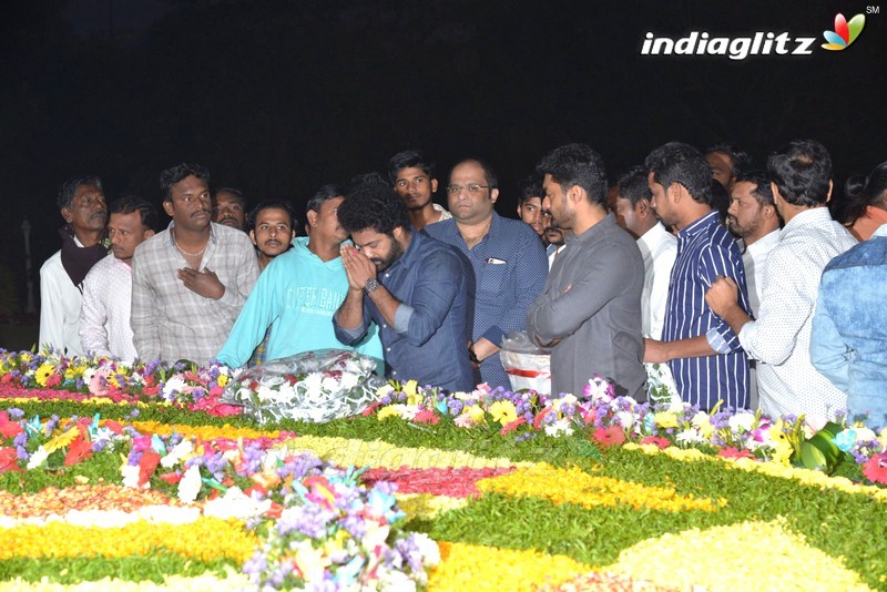 Nandamuri Family Pays Tribute To NTR