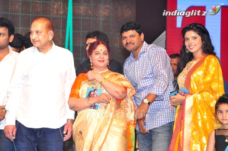 'Nandhini Nursing Home' Audio Launch (Set-2)