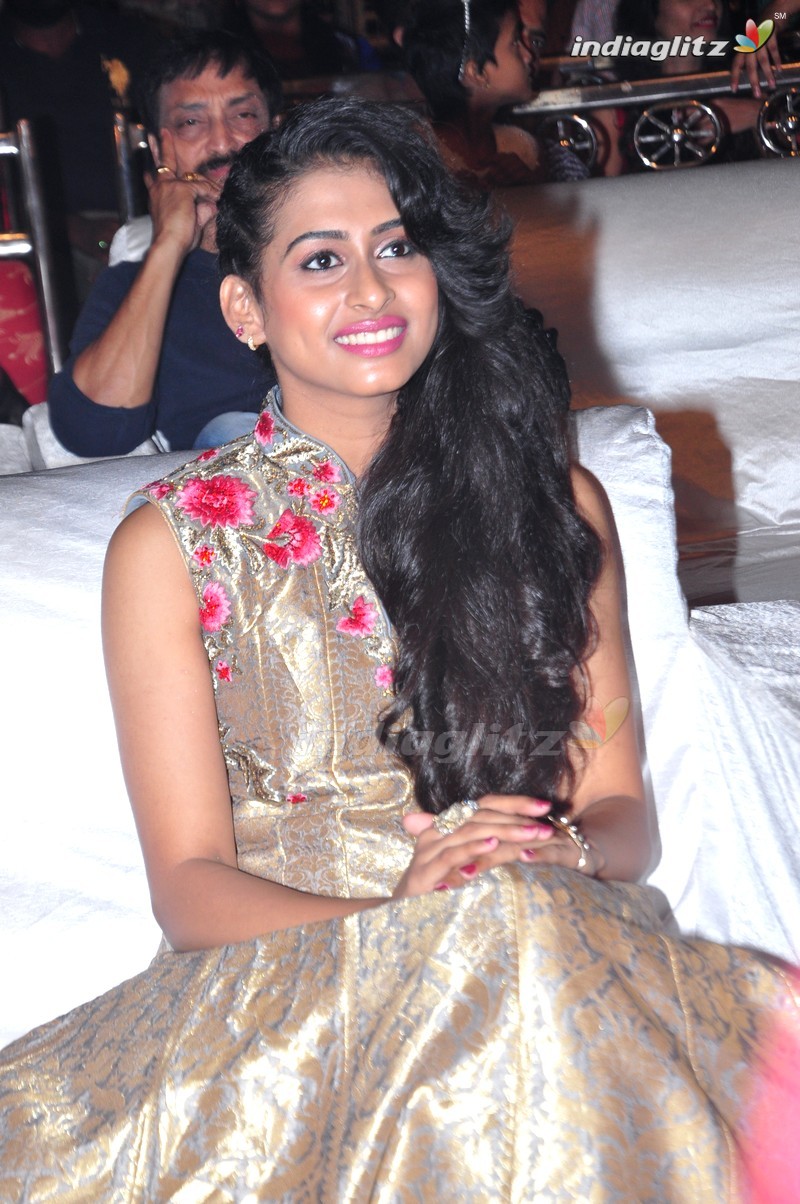 'Nandhini Nursing Home' Audio Launch (Set-1)