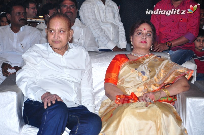 'Nandhini Nursing Home' Audio Launch (Set-1)