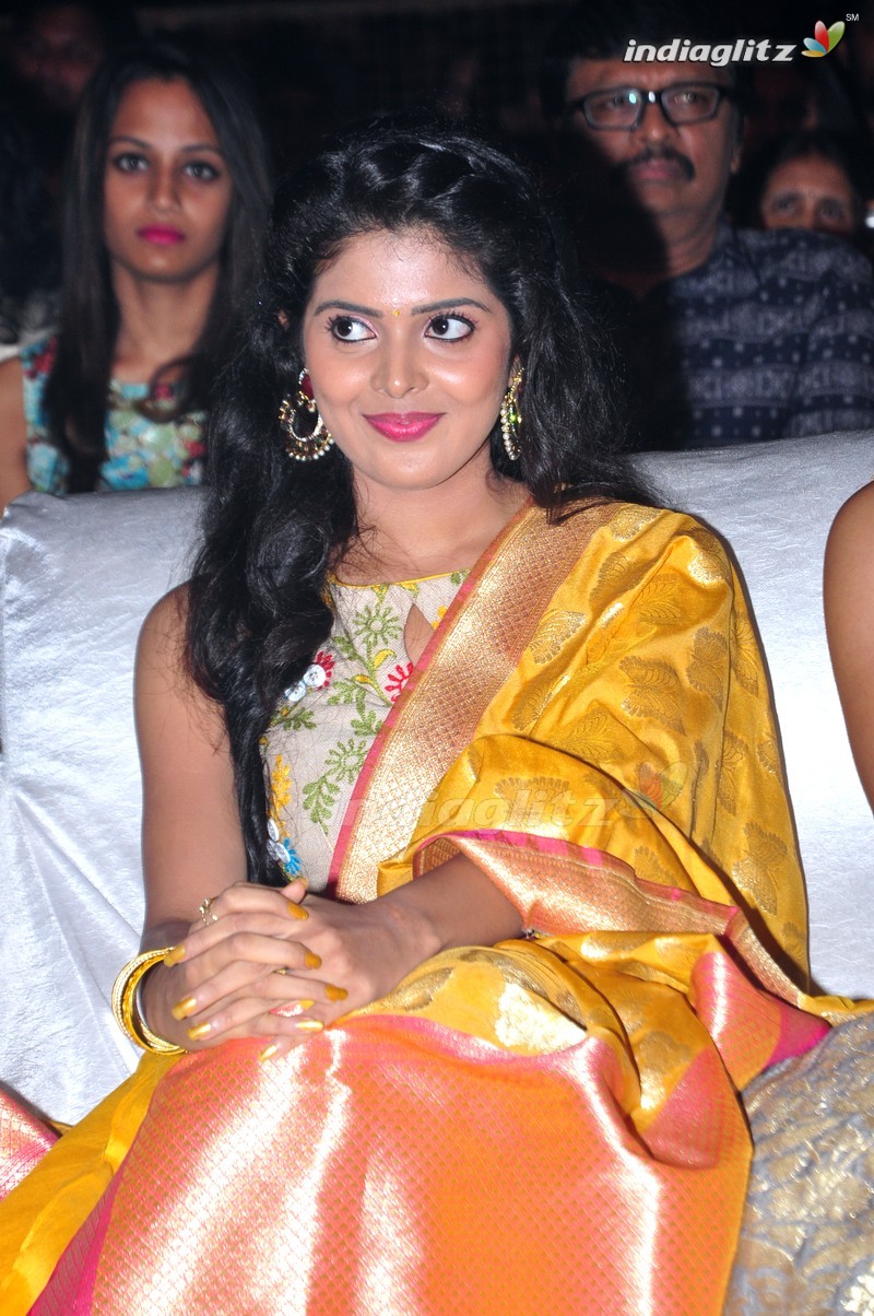 'Nandhini Nursing Home' Audio Launch (Set-1)