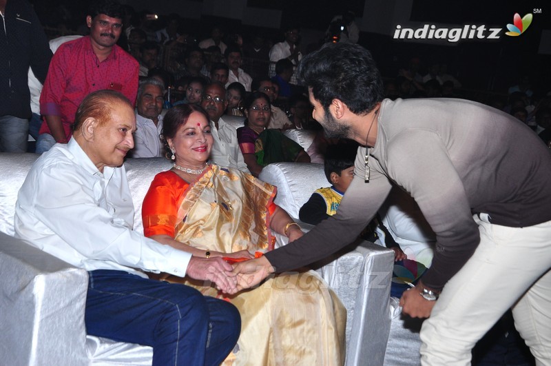 'Nandhini Nursing Home' Audio Launch (Set-1)