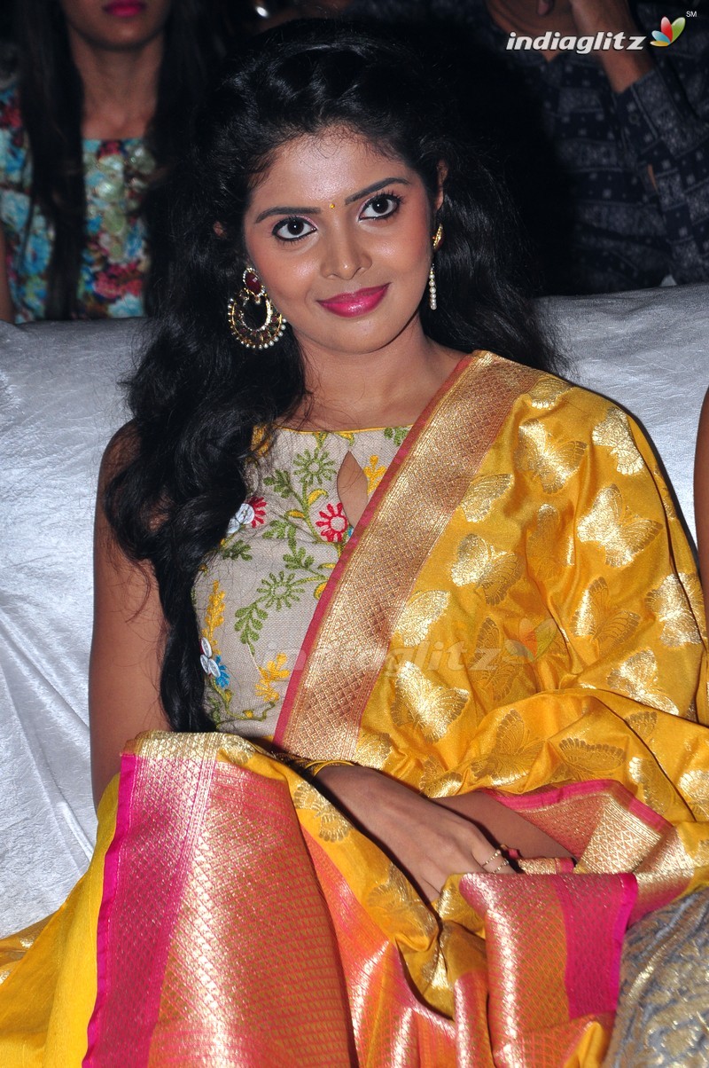 'Nandhini Nursing Home' Audio Launch (Set-1)