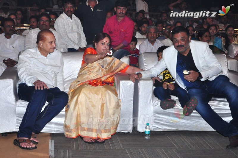 'Nandhini Nursing Home' Audio Launch (Set-1)