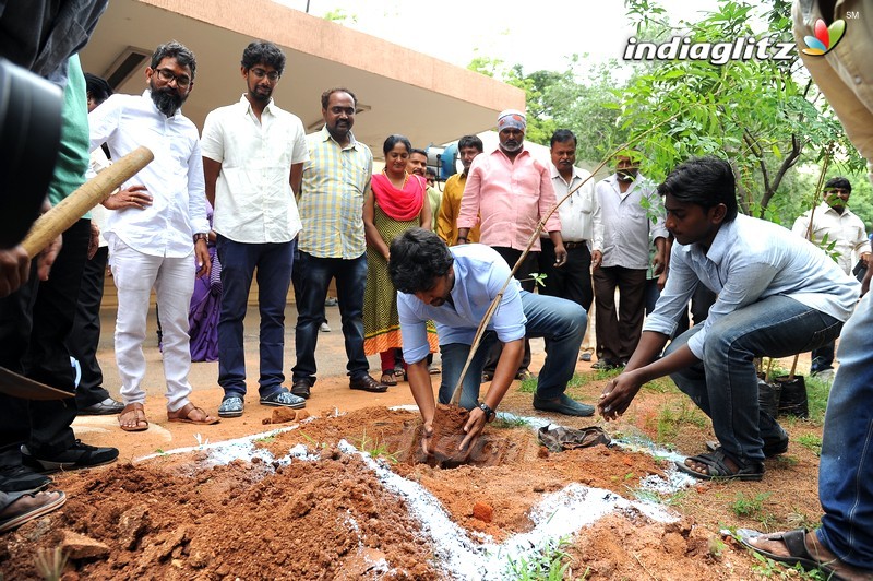 Nani Participates in Haritha Haram