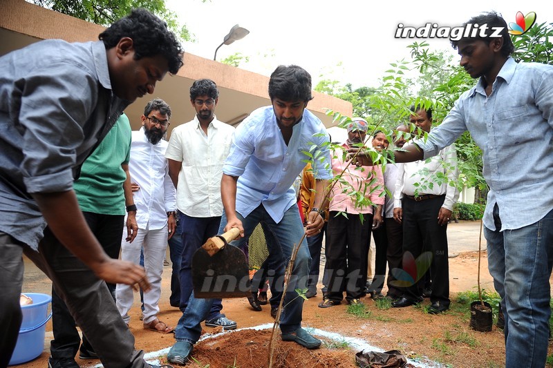 Nani Participates in Haritha Haram