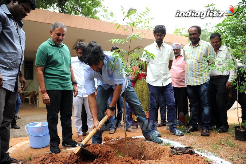 Nani Participates in Haritha Haram