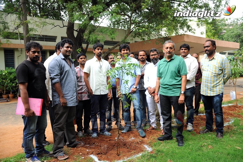 Nani Participates in Haritha Haram