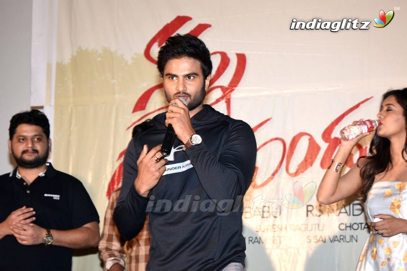 'Nannu Dochukunduvate' Success Meet