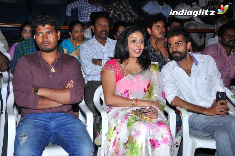 'Naradhudu' Audio Launch